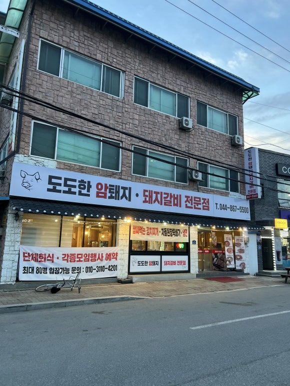 도도한암퇘지 이미지