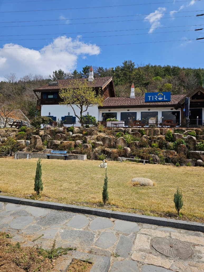 티롤978 이미지