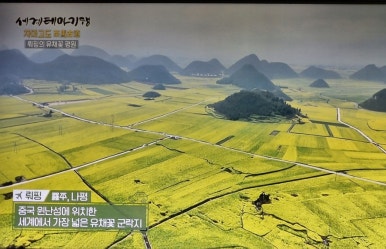 차마고원 이미지
