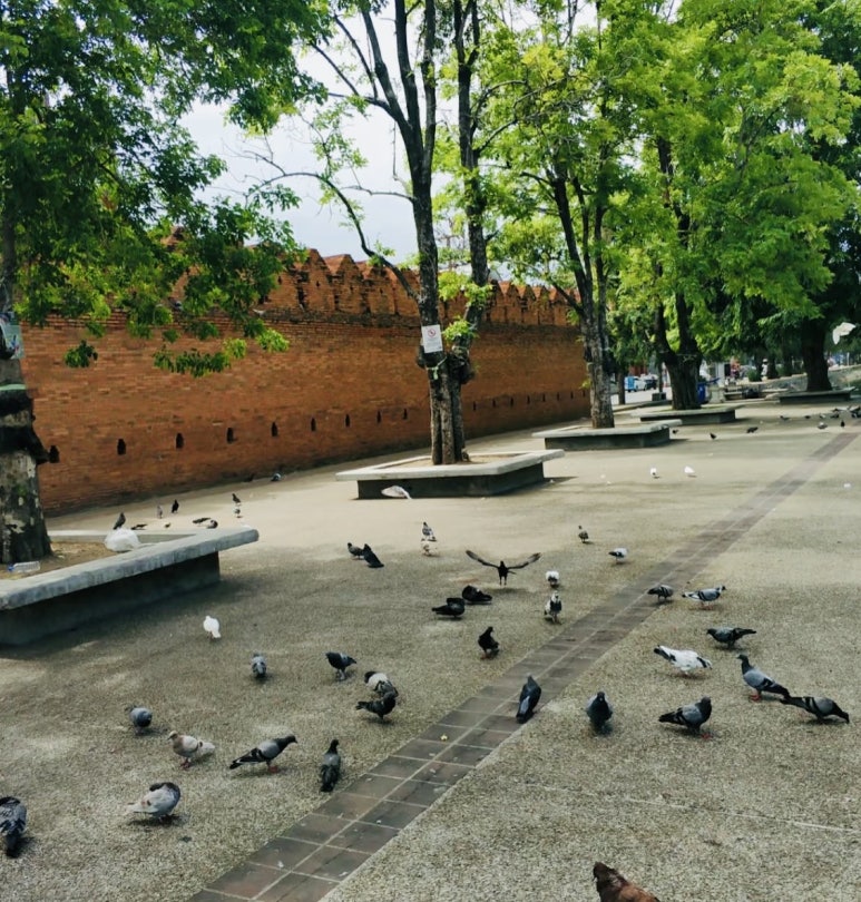 코쿤투어(cocoontour) 이미지