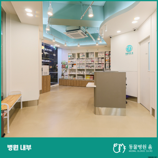 윤디자인 이미지