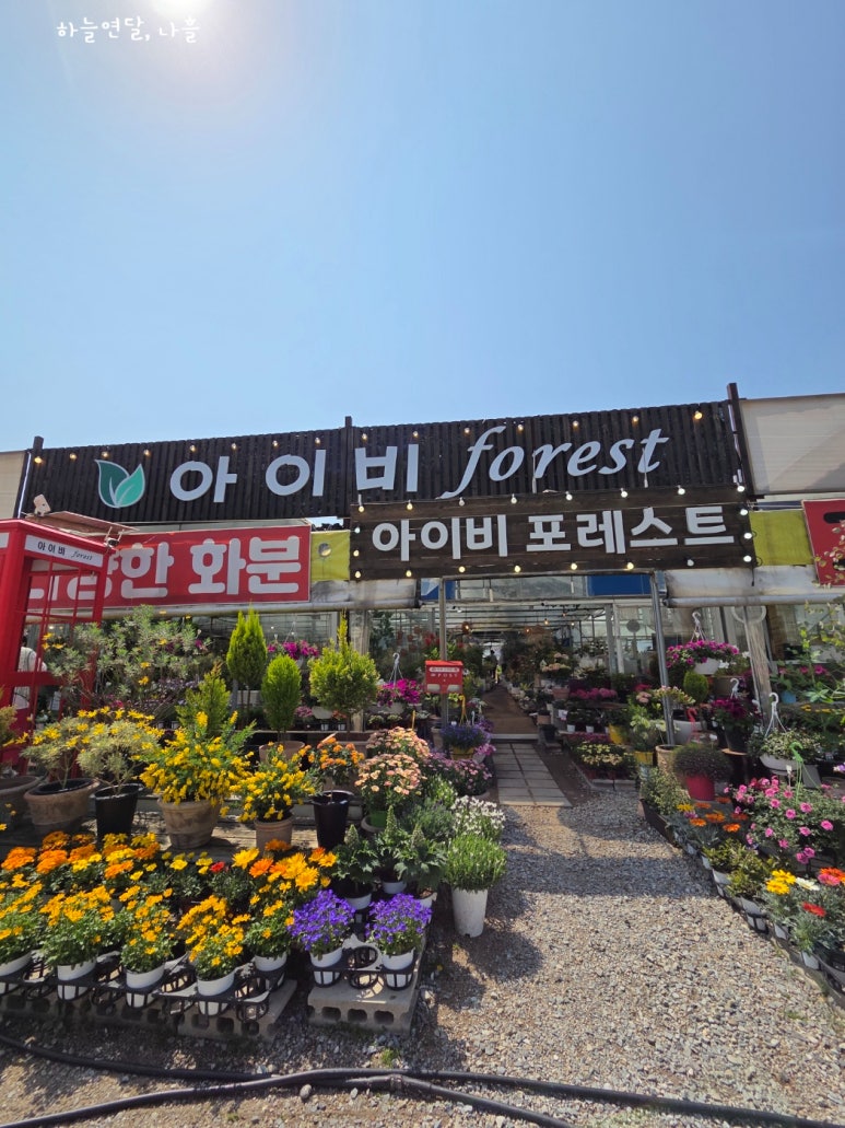 아이비화원 이미지