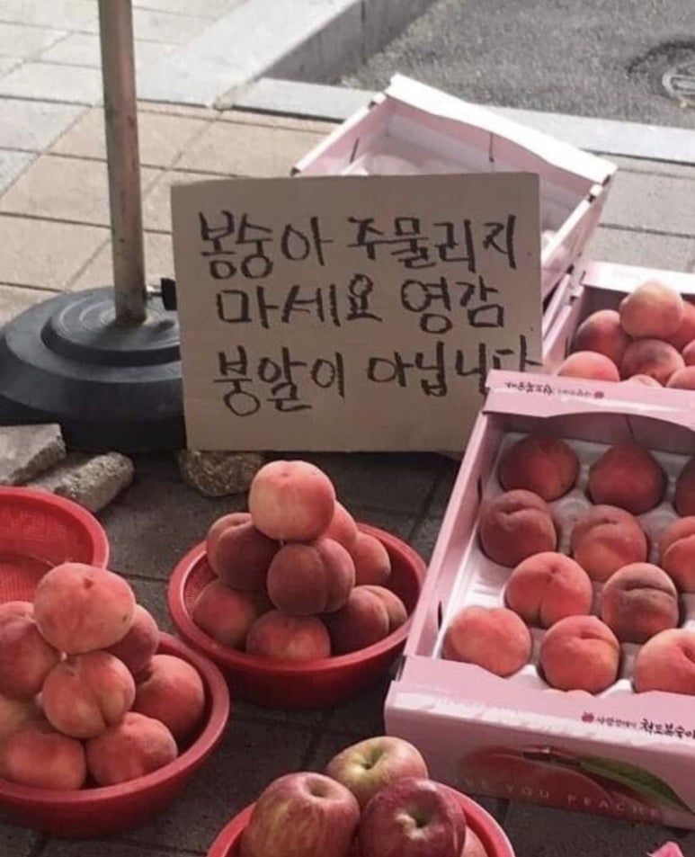 가보 이미지