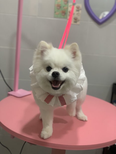 예쁜여우미용실 이미지
