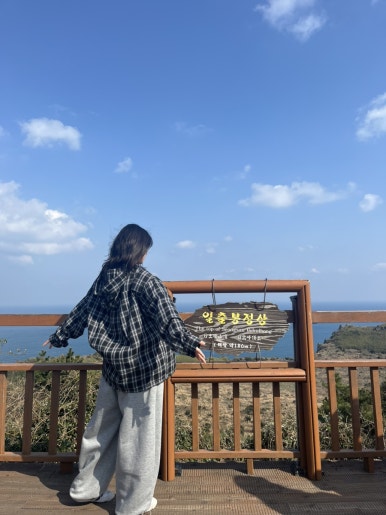 삐까빤딱 이미지