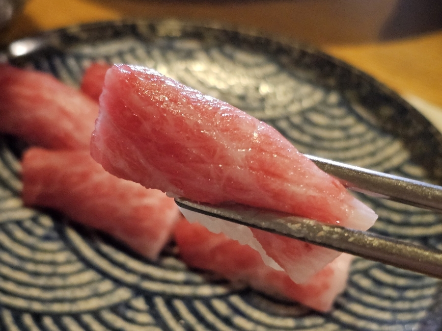 고집참치 이미지