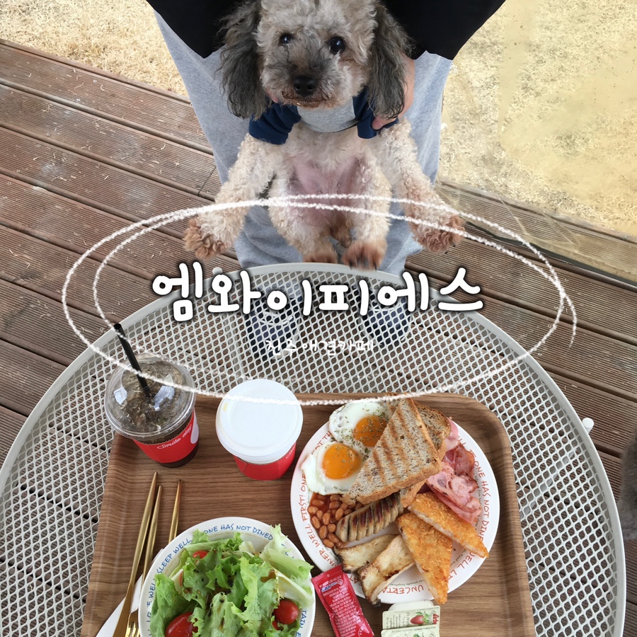 엠와이피에스 이미지
