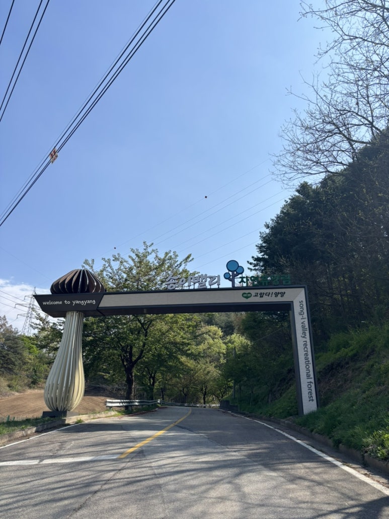 레포밸리 이미지
