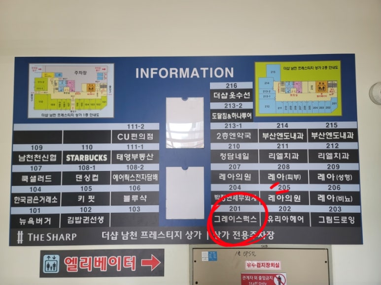 럭스그레이스 이미지