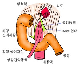원원 이미지