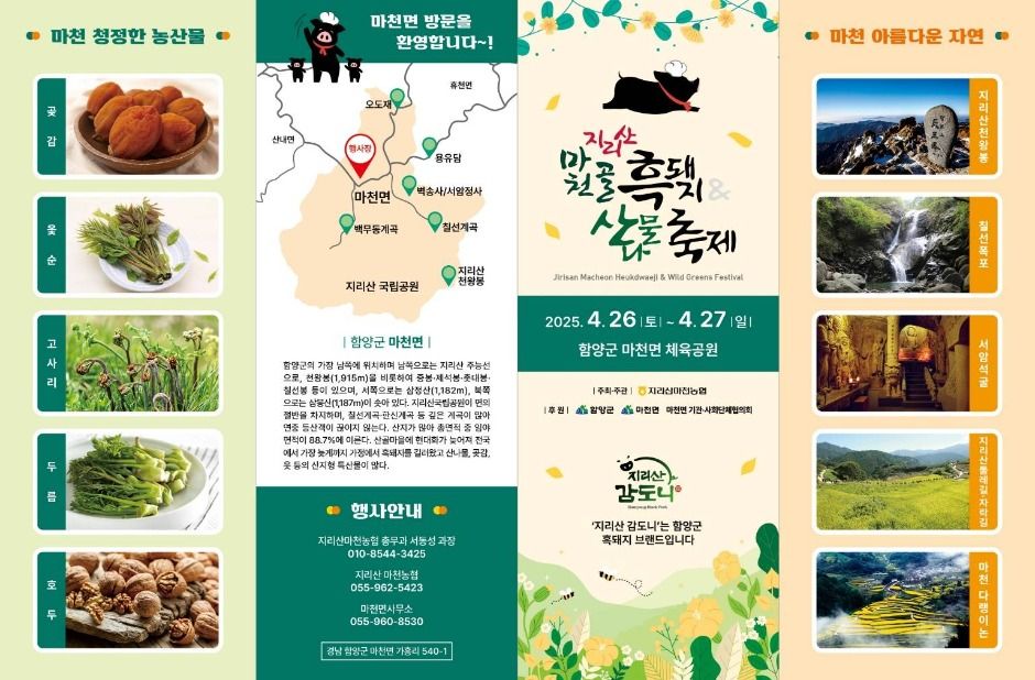 마천흑돼지 이미지