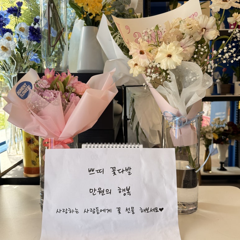 디그먼트 이미지