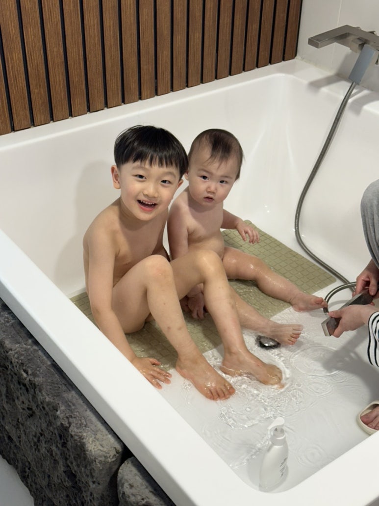 제주조우아조수 이미지