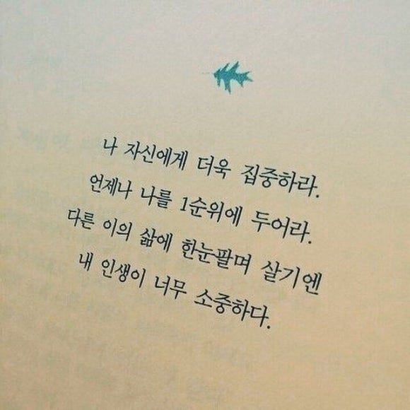 신나지 이미지