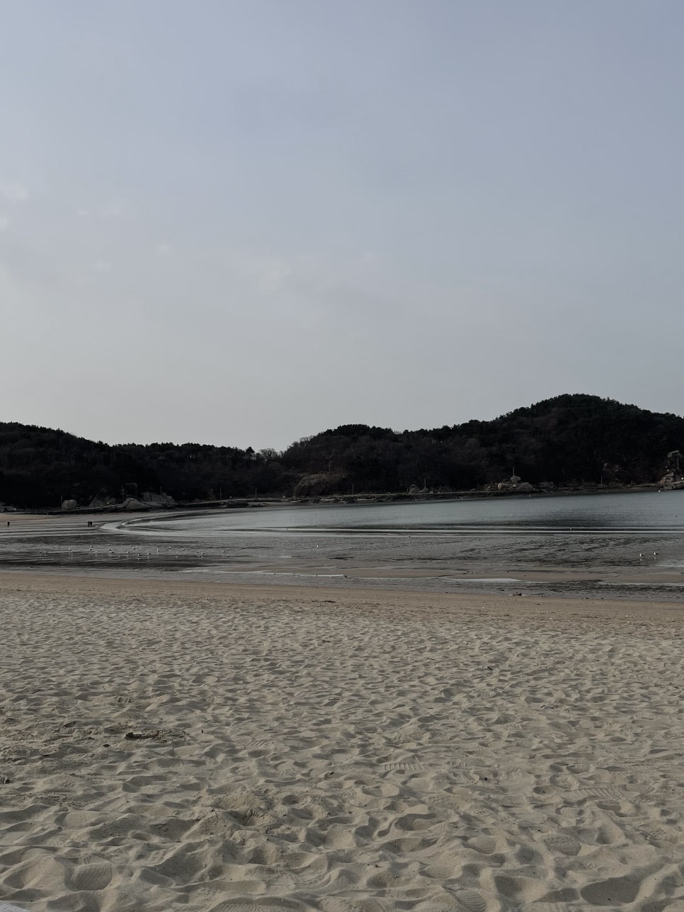 바다네칼국수 이미지