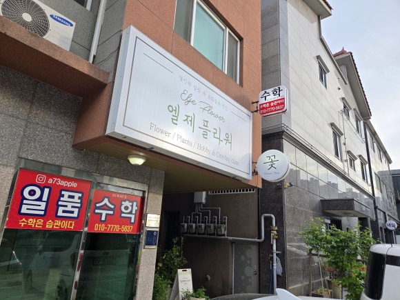 엘제플라워 이미지