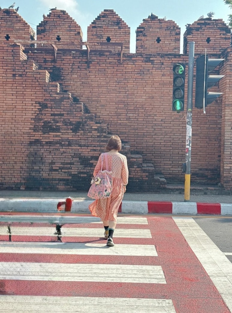 코쿤투어(cocoontour) 이미지