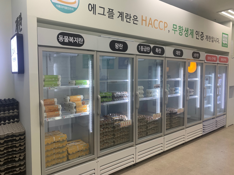 에그플 이미지