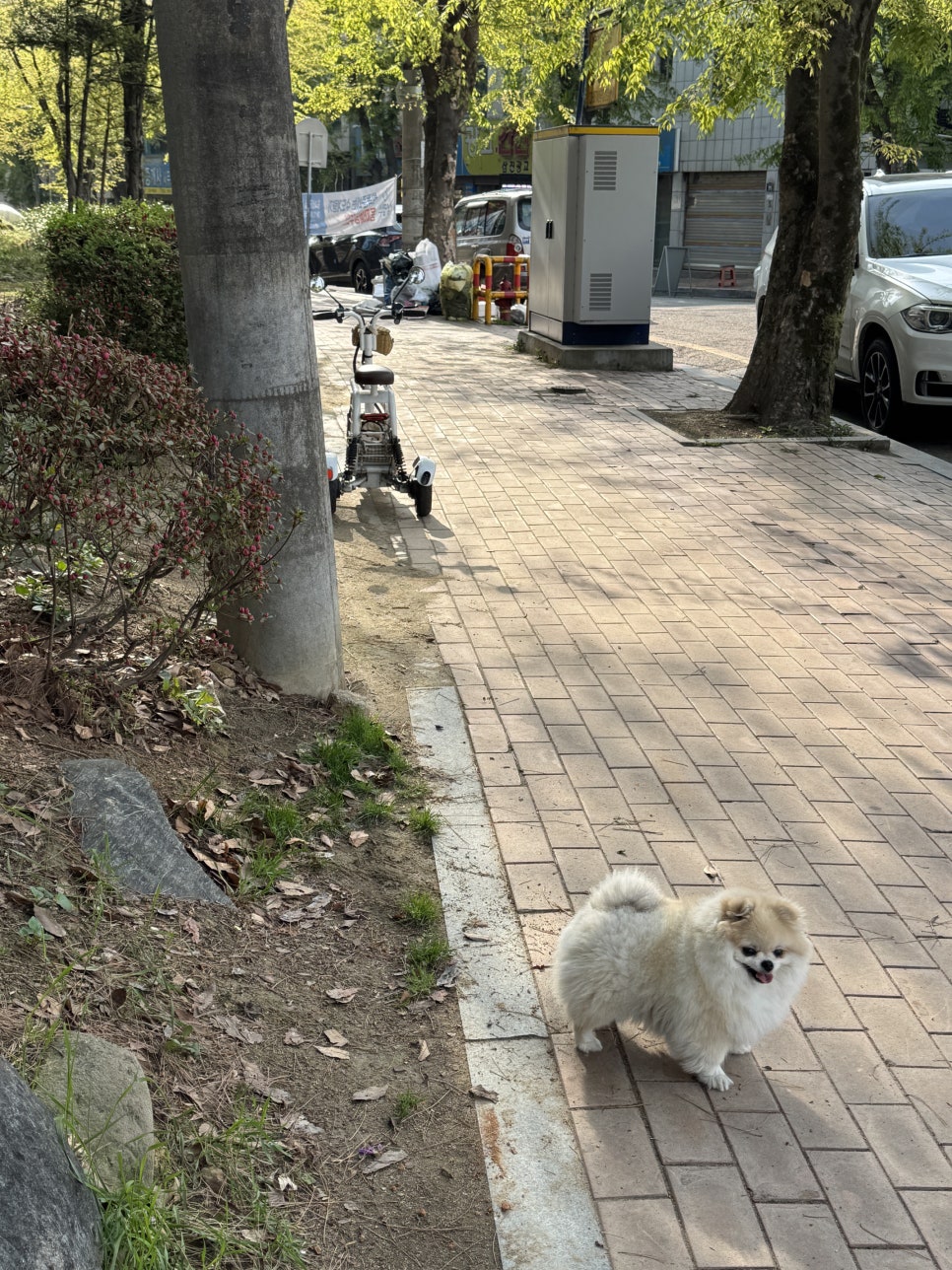 꾸르네일 이미지