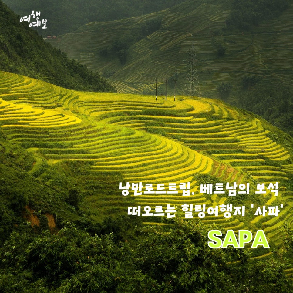 주식회사 모두여행사 이미지