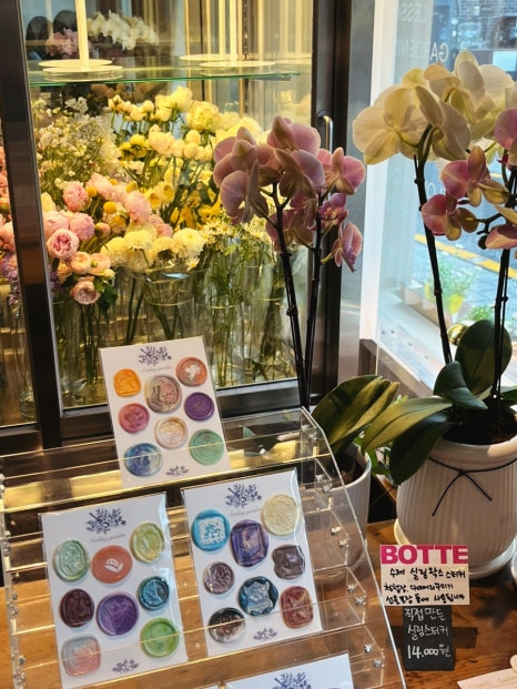 보뜨(BOTTE) 이미지