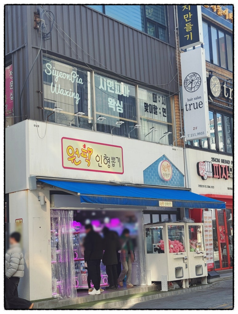 시연피아 이미지