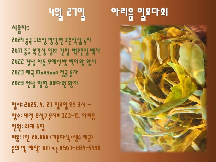 아리음 이미지