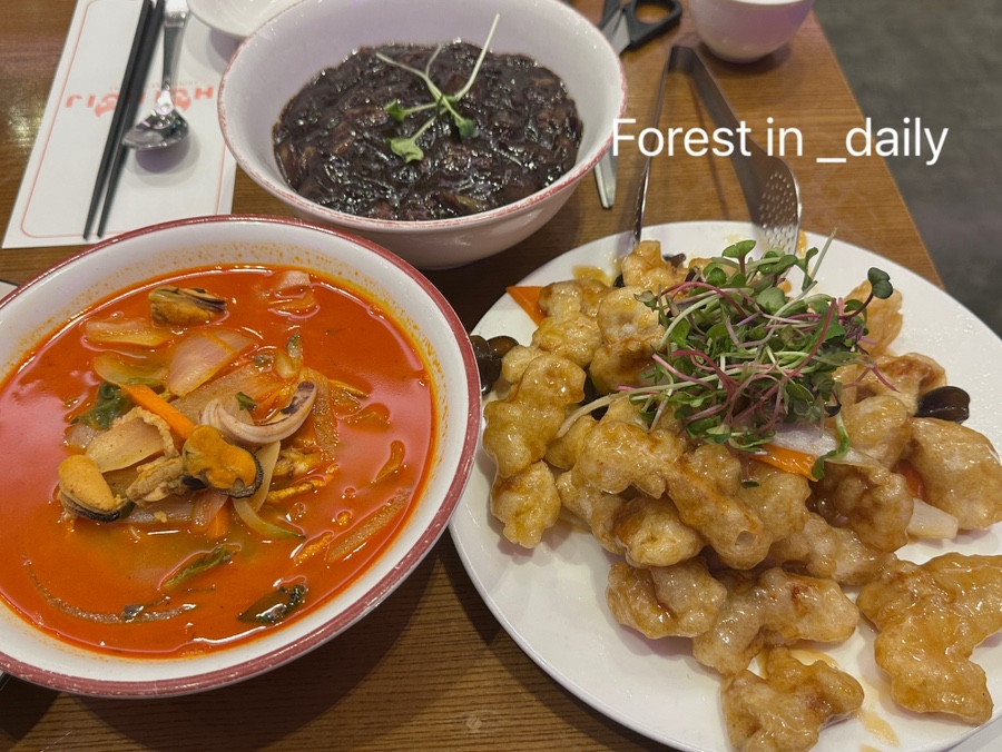 후이후이 사진 5