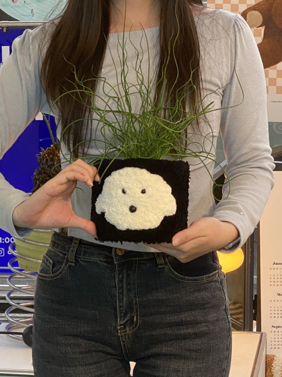 온도르 이미지