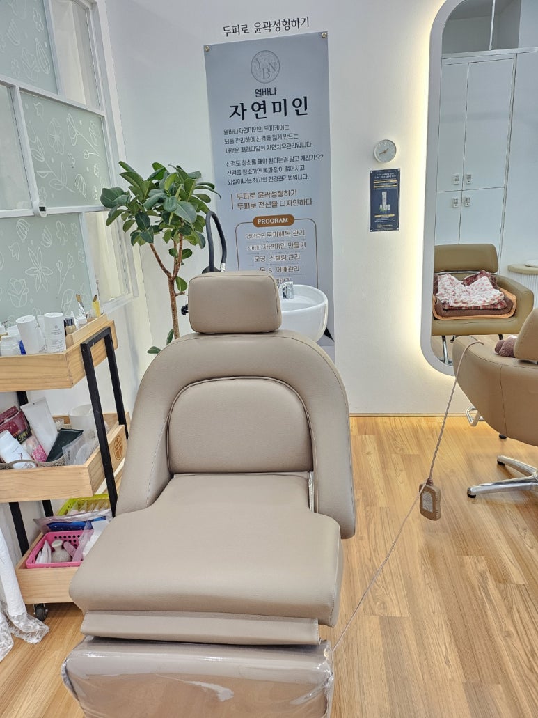 열바나자연미인 이미지