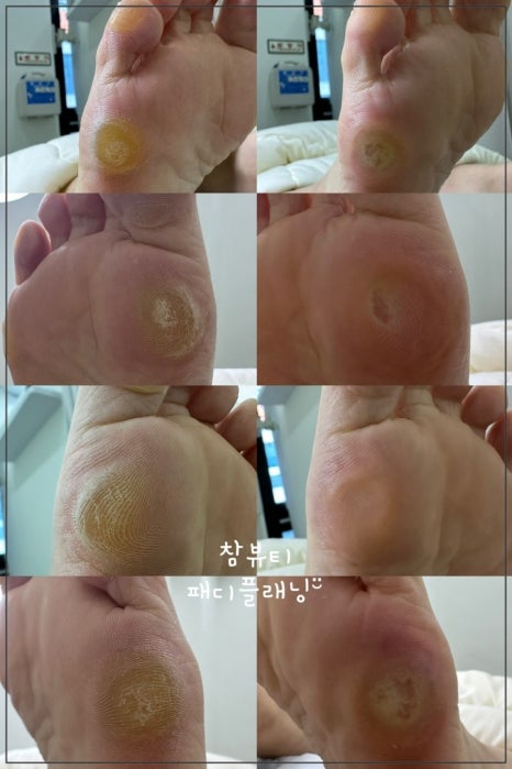 꼼꼼속눈썹 이미지