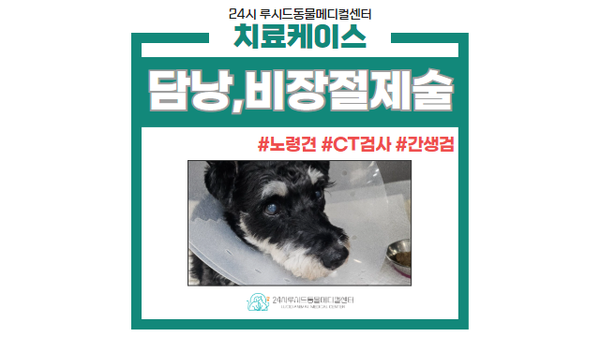김진영내과 이미지