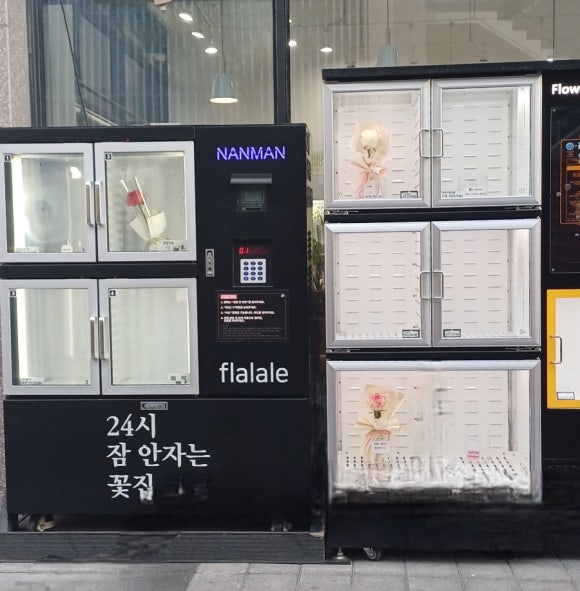 플라라레 이미지