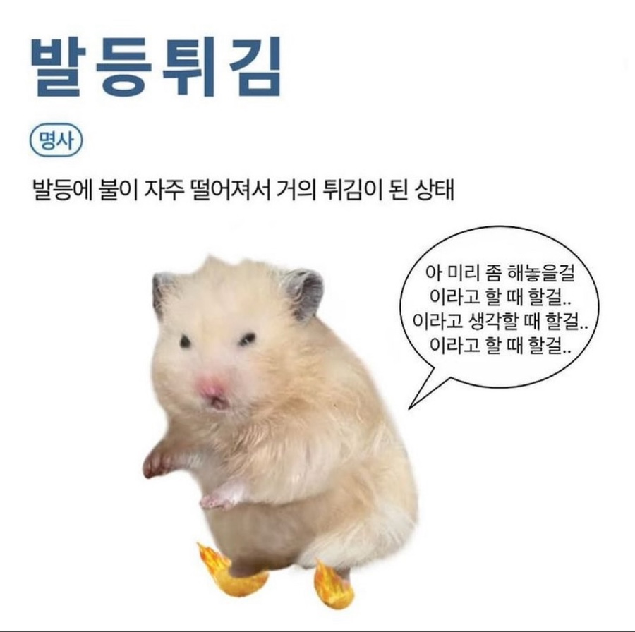 리리 이미지