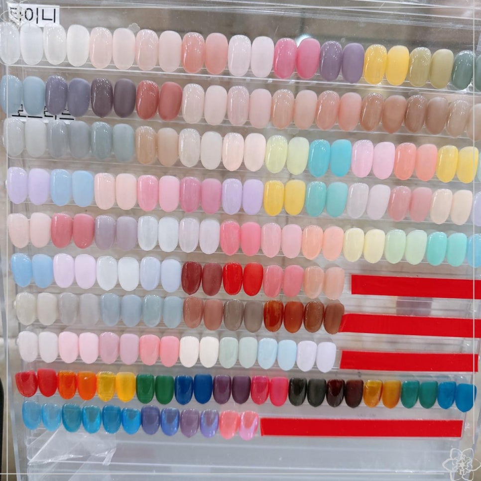 칼라앤젤 이미지