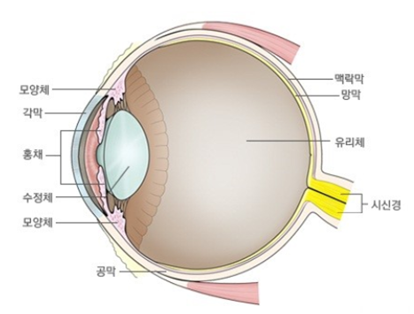 강안과의원 이미지