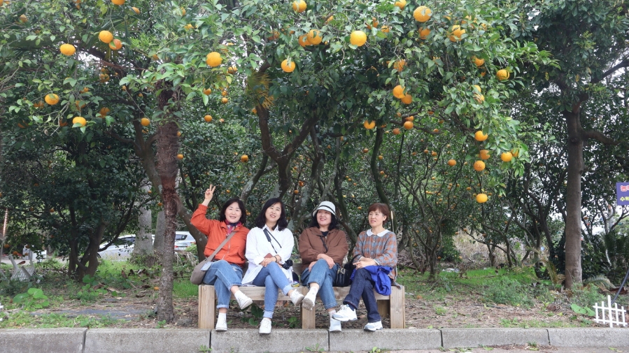 숲속의 컨벤션 이미지