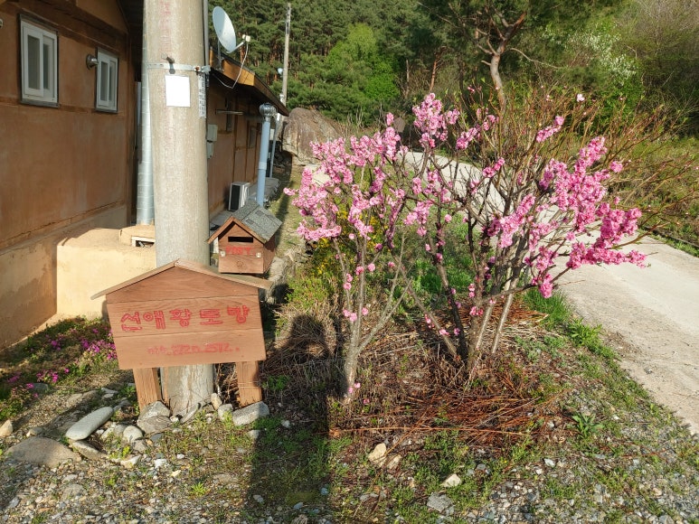 선애황토방 이미지