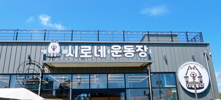 시로네 이미지