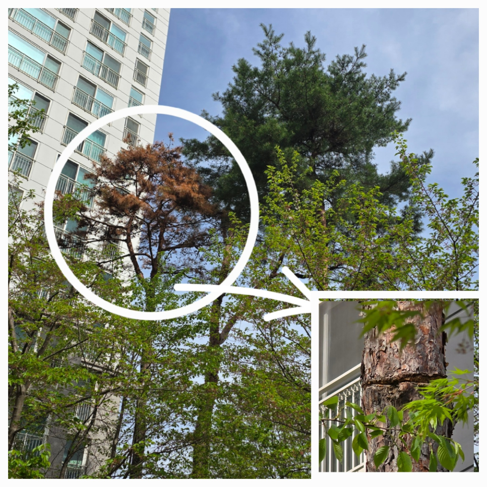 지산아이앤씨주 이미지