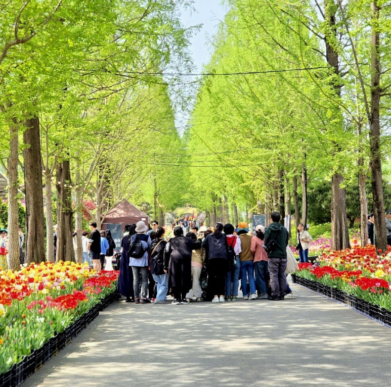 숲길 이미지