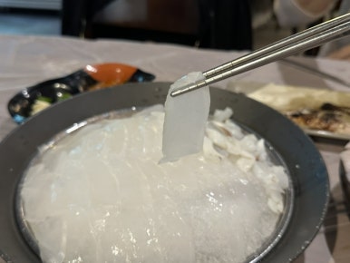 오징어데이 이미지
