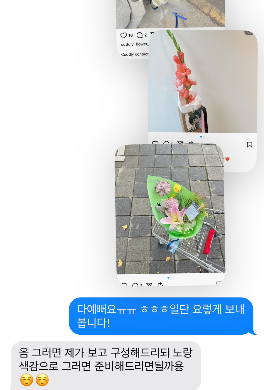 커들리플라워 이미지