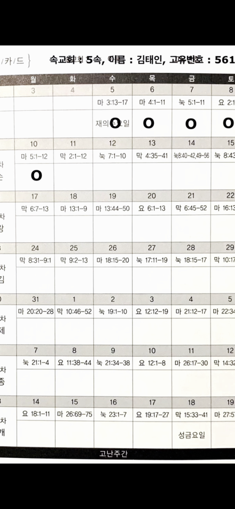 아네스 이미지