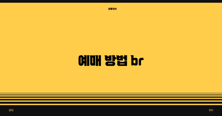 티머니시외버스 이미지