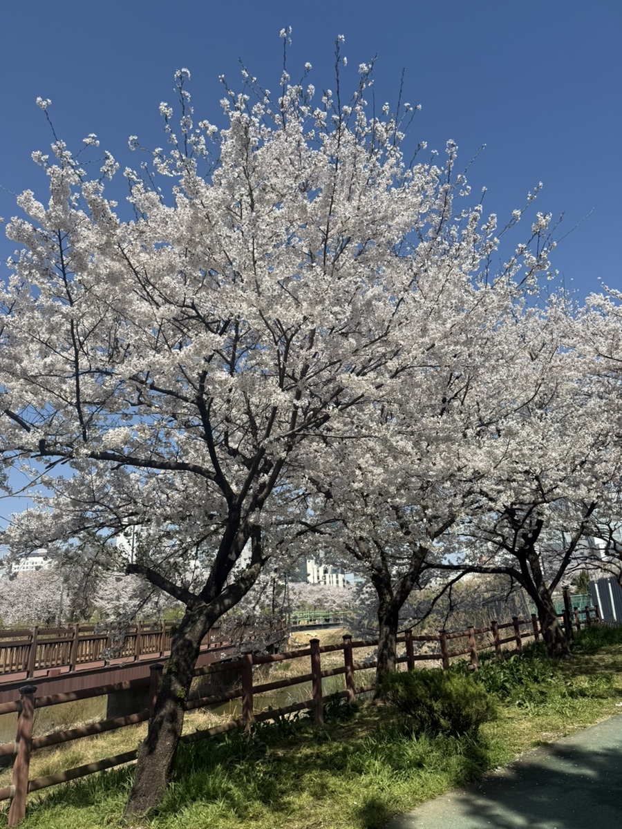 운천수산 이미지