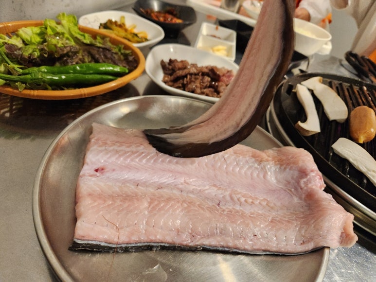 처음본명품민물장어 이미지