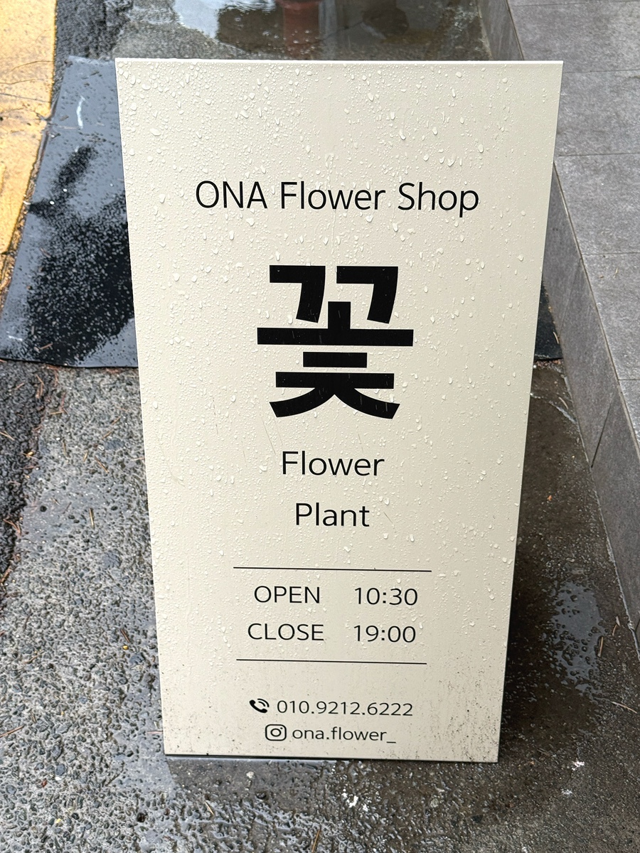 오나플라워 이미지