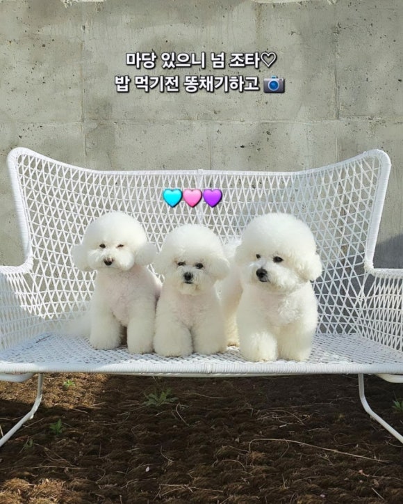 스테이루비 이미지