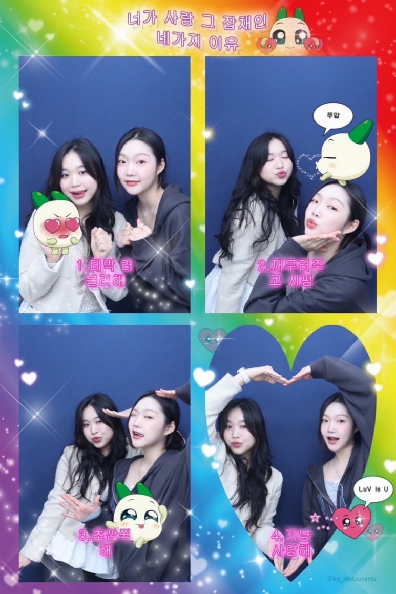 마우디브런치바 이미지